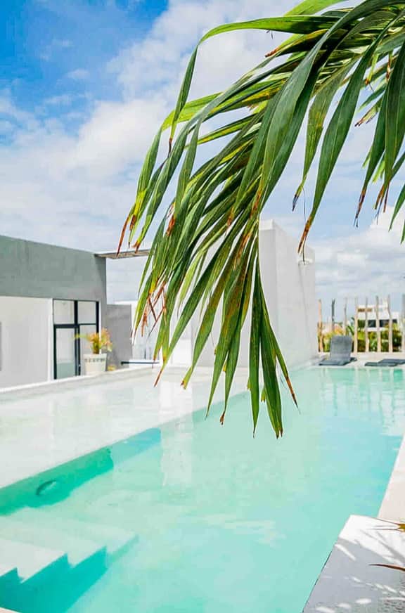 King Studio near 5th Avenue - Playa del Carmen - Image 2